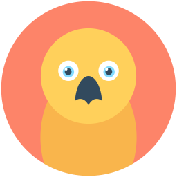 Chicken  Icon