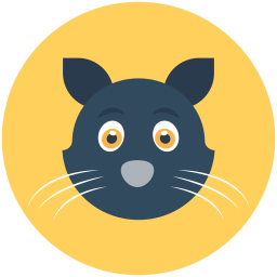 Cat  Icon