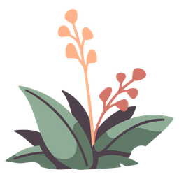 Flower  Icon