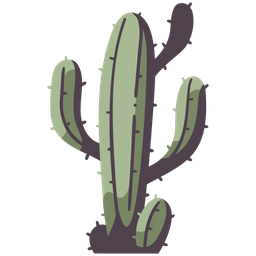 Cactus  Icon