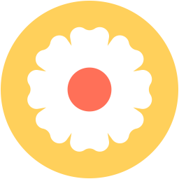 Aster  Icon