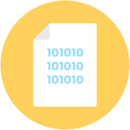 Binary  Icon