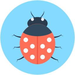 Bug  Icon