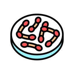 Corynebacterium  Icon