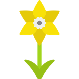 Daffodil  Icon