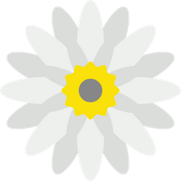 Chrysanthemum  Icon