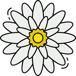 Chrysantheme  Symbol