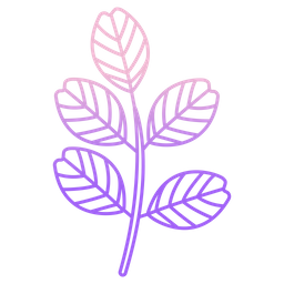 Black Locust Leaf  Icon