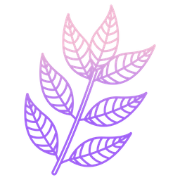 Curry Leaves  Icon