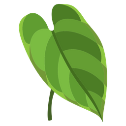 Anthurium  Icon