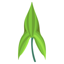 Arrow Head Leaf  Icon