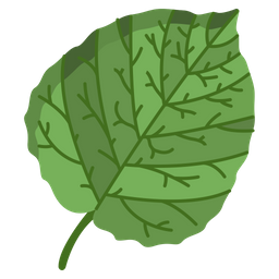 Aspen Leaf  Icon