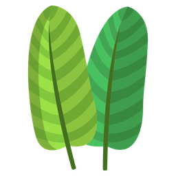 Bird Of Paradise Leaf  Icon