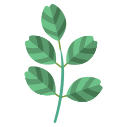 Black Locust Leaf  Icon