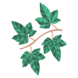 English Ivy Leaf  Icon