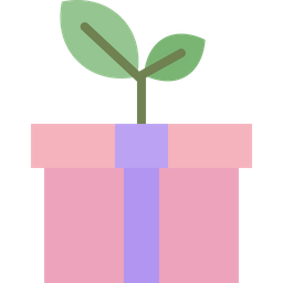 Eco Gift  Icon