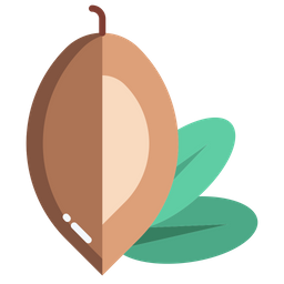 Argan  Icon