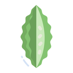 Bitter Gourd  Icon