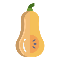 Butternut Squash  Icon