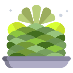 Acanthocalycium Thionanthum  Icon