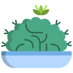 Brain Cactus  Icon