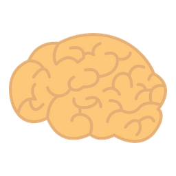 Brain  Icon