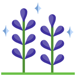 Lavender  Icon