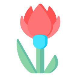 Tulipa albânica  Ícone