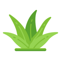 Aloe vera  Icono