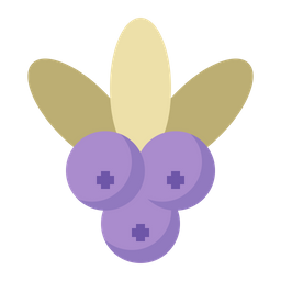 Berry  Icon