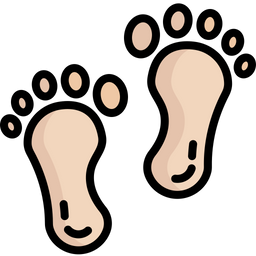 Footprint  Icon