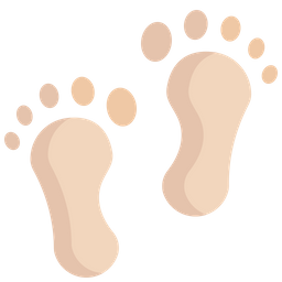 Footprint  Icon