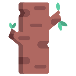 Birch Tree  Icon