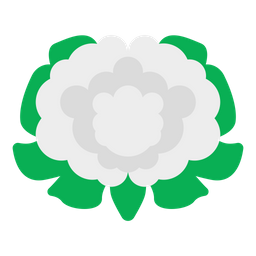 Cauliflower  Icon