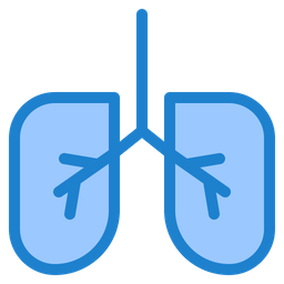 Anatomy  Icon