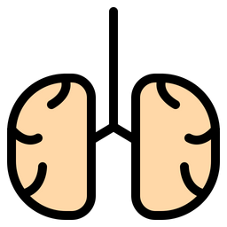 Anatomy  Icon