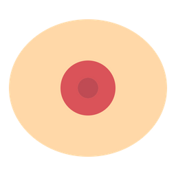 Anatomy  Icon