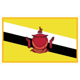 BRUNEI  Icon