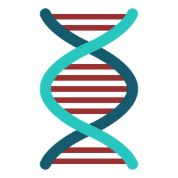 Dna  Icon