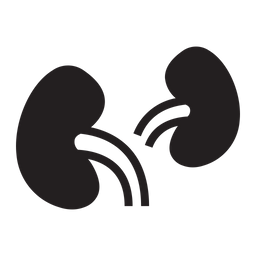 Kidney  Icon