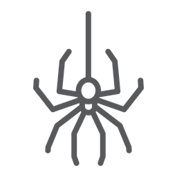 Spider  Icon