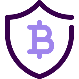 Bitcoin protection  Icon