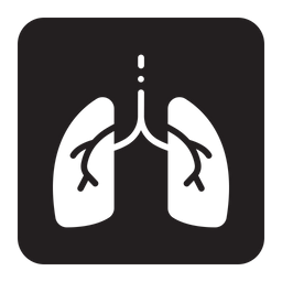 Lungs  Icon