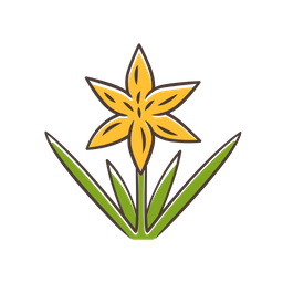 Common Star Lily  Icon