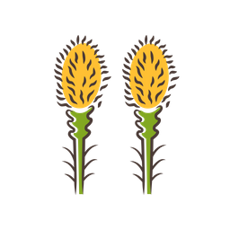 Liatris  Icon