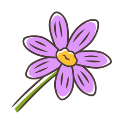 Coreopsis  Icon