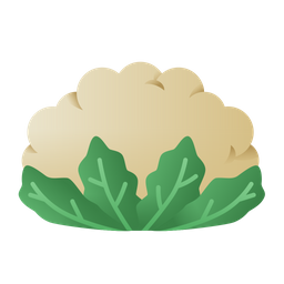 Cauliflower  Icon