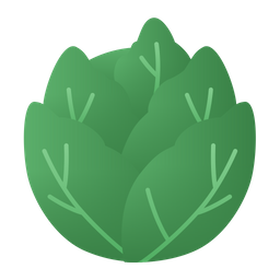 Cabbage  Icon