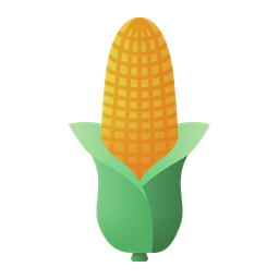 Corn  Icon