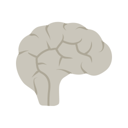 Brain  Icon